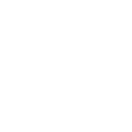 TRUE Original Document QRCODE