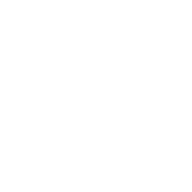 TRUE Original Document QRCODE