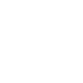 TRUE Original Document QRCODE