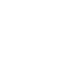 TRUE Original Document QRCODE