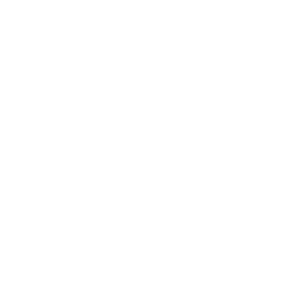 TRUE Original Document QRCODE