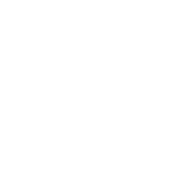 TRUE Original Document QRCODE