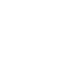 TRUE Original Document QRCODE