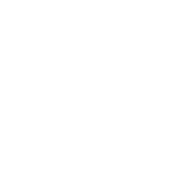 TRUE Original Document QRCODE