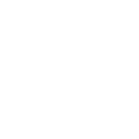 TRUE Original Document QRCODE
