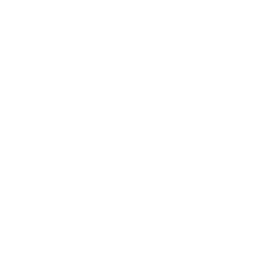 TRUE Original Document QRCODE