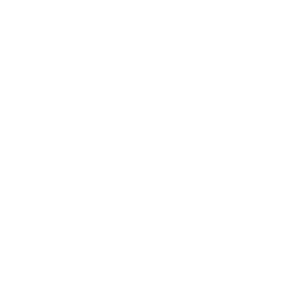TRUE Original Document QRCODE