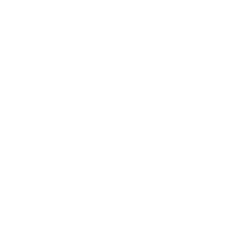 TRUE Original Document QRCODE