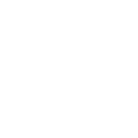 TRUE Original Document QRCODE