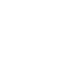 TRUE Original Document QRCODE