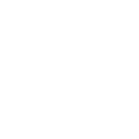 TRUE Original Document QRCODE