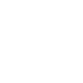 TRUE Original Document QRCODE