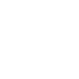 TRUE Original Document QRCODE
