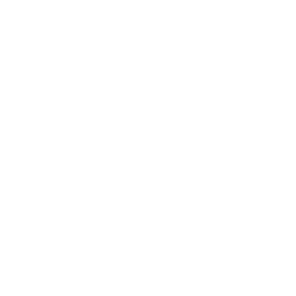 TRUE Original Document QRCODE