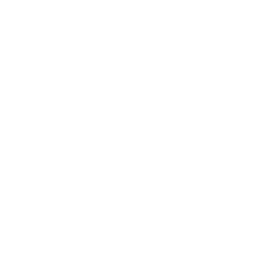 TRUE Original Document QRCODE