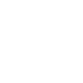TRUE Original Document QRCODE