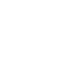 TRUE Original Document QRCODE