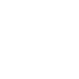 TRUE Original Document QRCODE