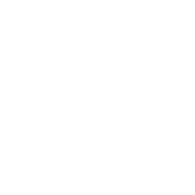 TRUE Original Document QRCODE