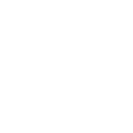 TRUE Original Document QRCODE