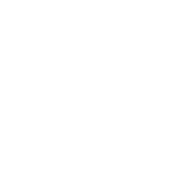 TRUE Original Document QRCODE
