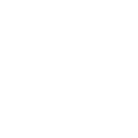 TRUE Original Document QRCODE