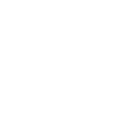 TRUE Original Document QRCODE