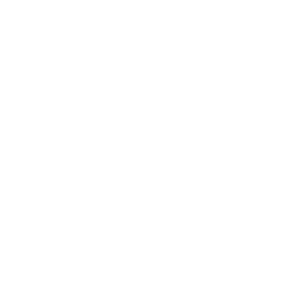 TRUE Original Document QRCODE