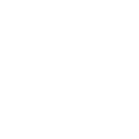 TRUE Original Document QRCODE