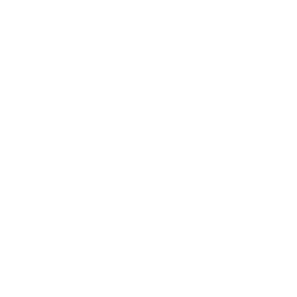 TRUE Original Document QRCODE