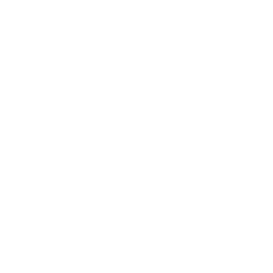 TRUE Original Document QRCODE