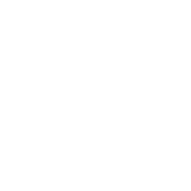 TRUE Original Document QRCODE