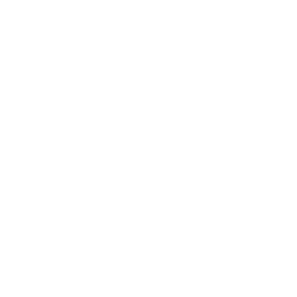 TRUE Original Document QRCODE