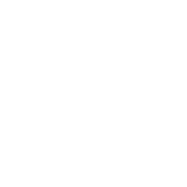 TRUE Original Document QRCODE