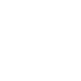 TRUE Original Document QRCODE