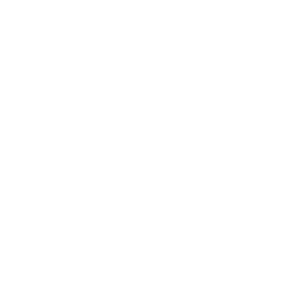 TRUE Original Document QRCODE