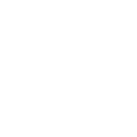 TRUE Original Document QRCODE