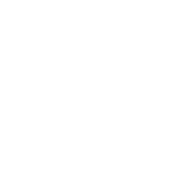 TRUE Original Document QRCODE