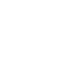 TRUE Original Document QRCODE