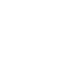 TRUE Original Document QRCODE