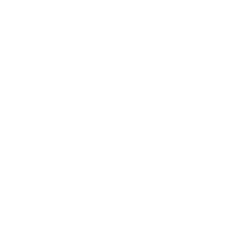 TRUE Original Document QRCODE