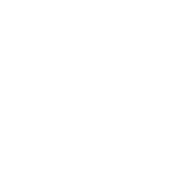 TRUE Original Document QRCODE