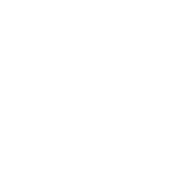 TRUE Original Document QRCODE