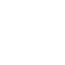 TRUE Original Document QRCODE