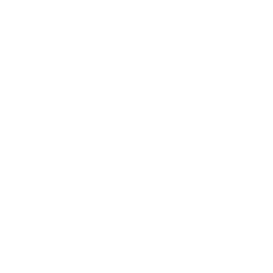 TRUE Original Document QRCODE