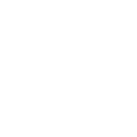 TRUE Original Document QRCODE