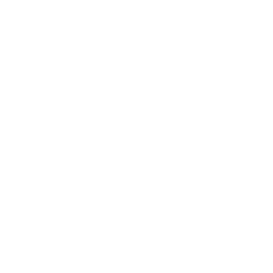 TRUE Original Document QRCODE