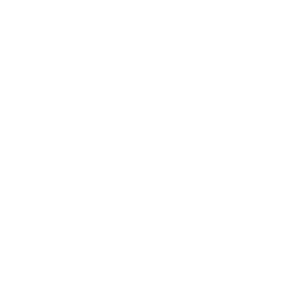 TRUE Original Document QRCODE