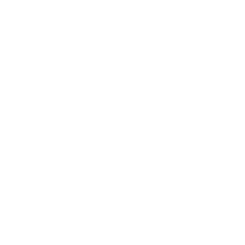TRUE Original Document QRCODE