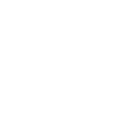 TRUE Original Document QRCODE